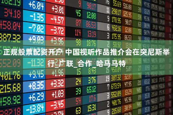 正规股票配资开户 中国视听作品推介会在突尼斯举行_广联_合作_哈马马特
